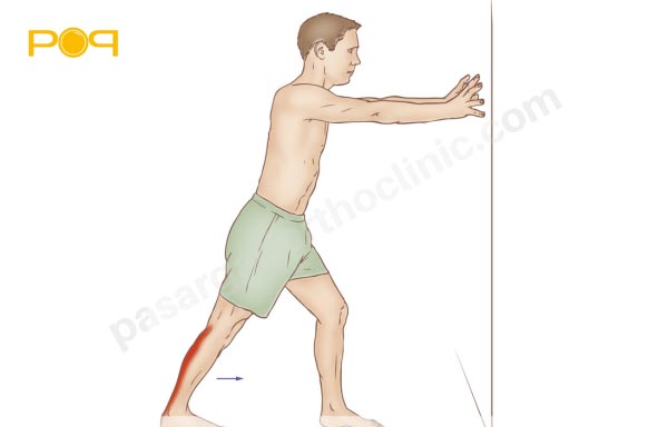 کشش گاستروکنمیوس